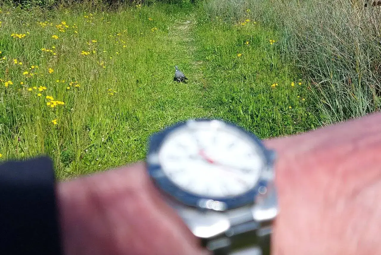 20240529_102205.jpg