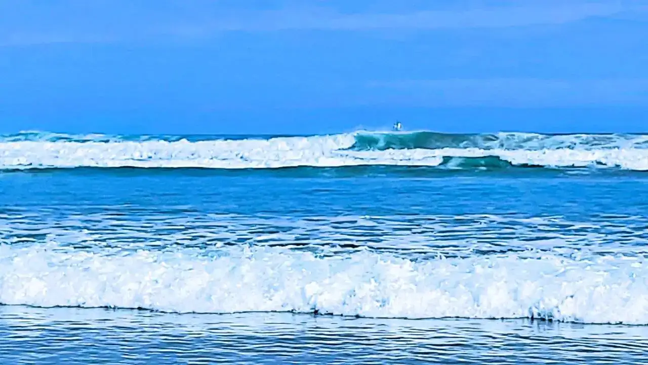 20240616_092943.jpg
