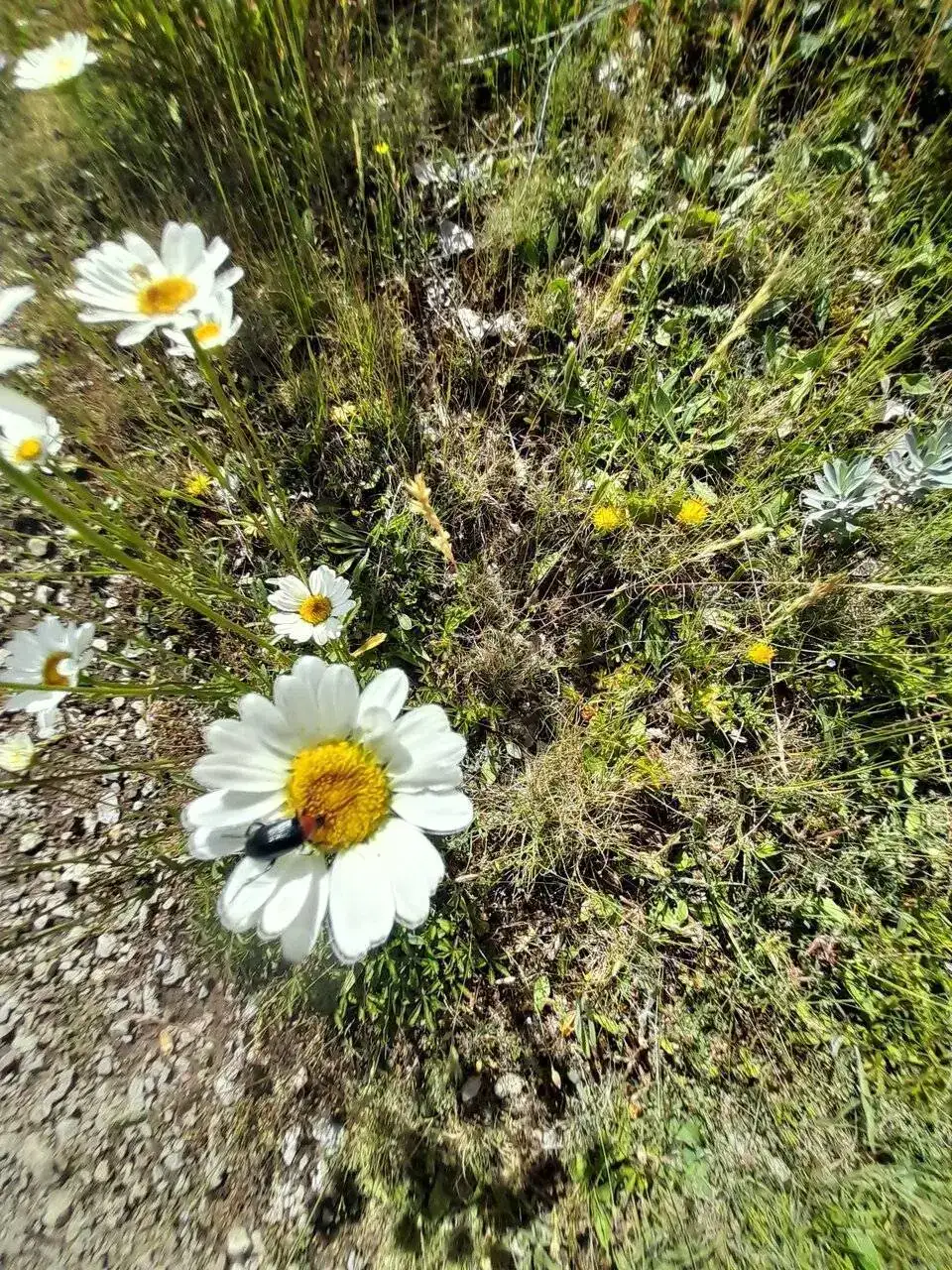 20240621_114429.jpg