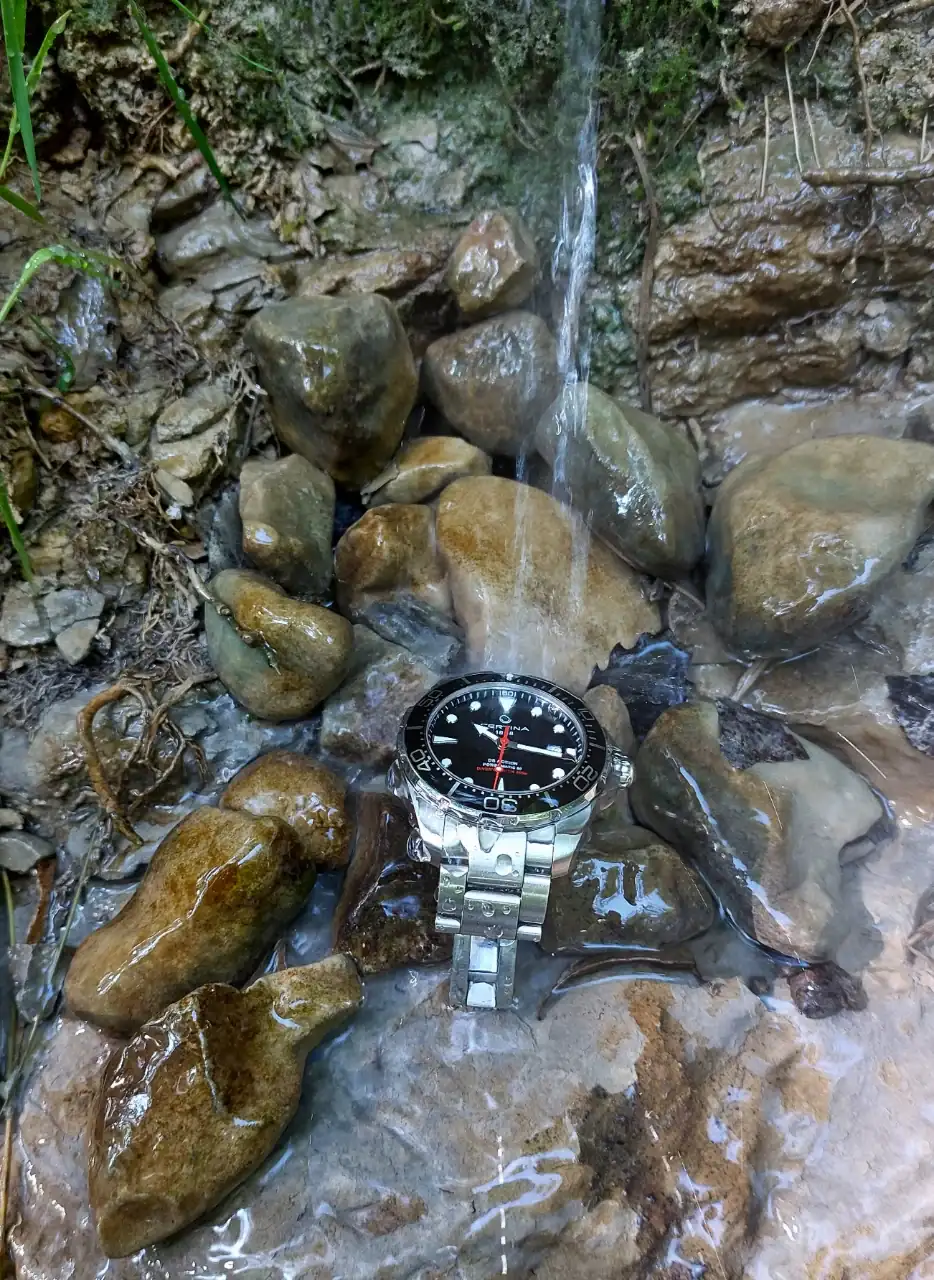 20240719_101551.webp