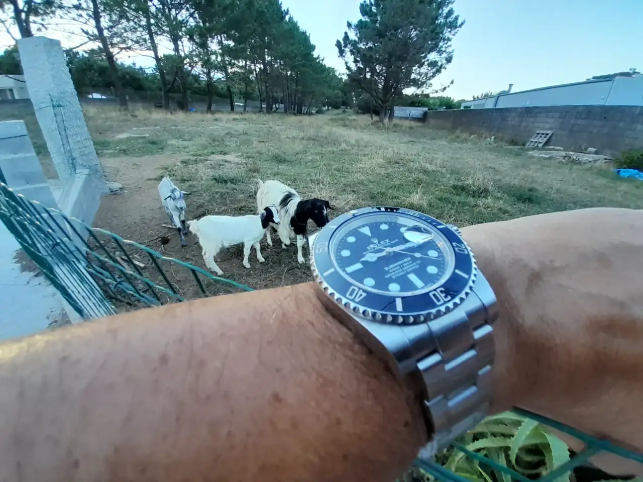 20240727_211643.webp