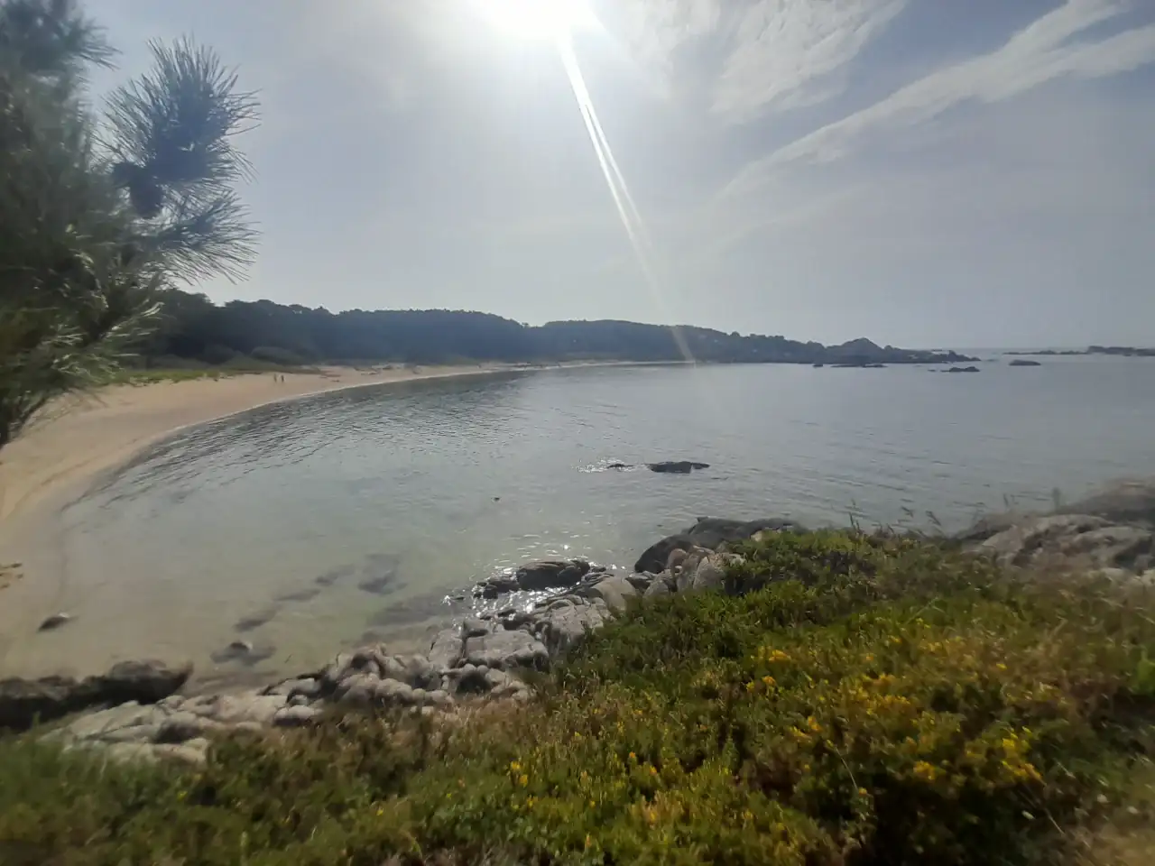 20240729_110111.webp