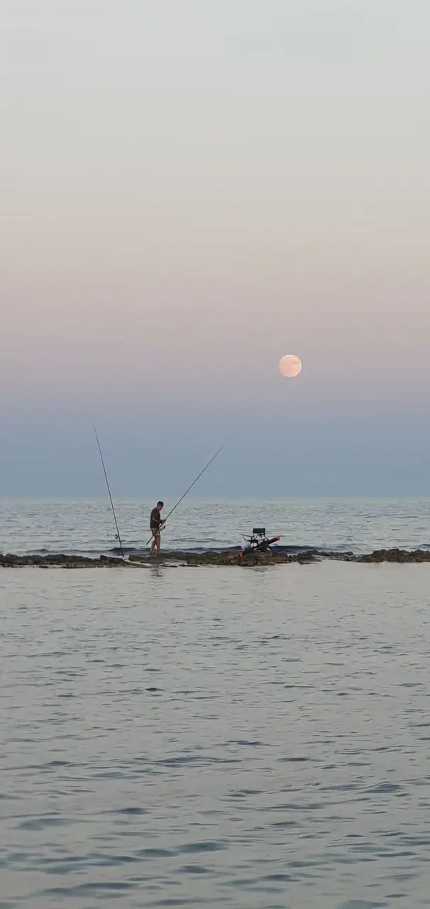 20240818_204946.webp