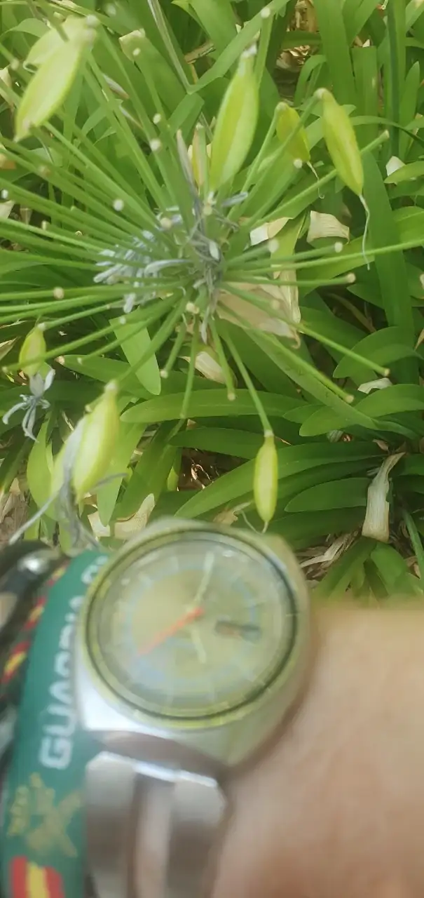20240821_170156.webp
