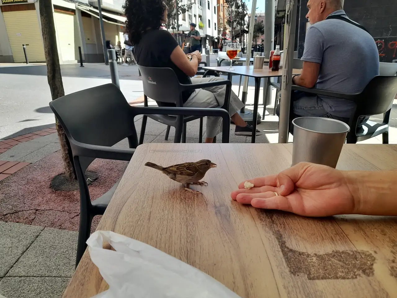 20240823_145250.webp