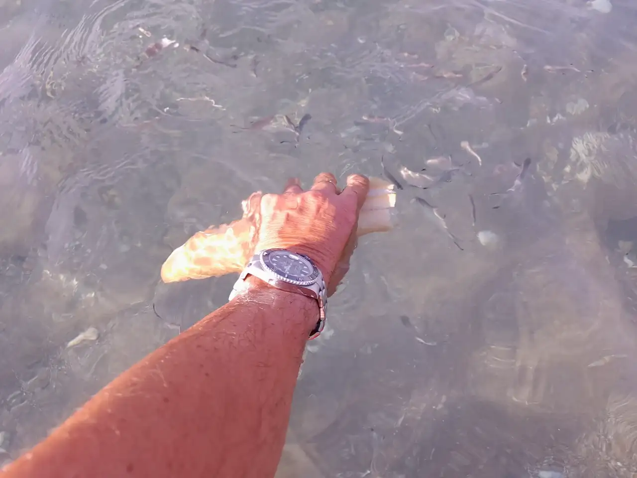 20240828_094649.webp