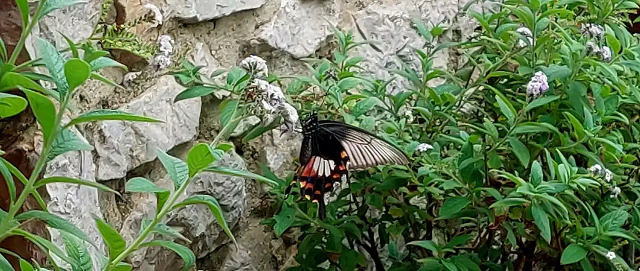 20240829_144347.webp