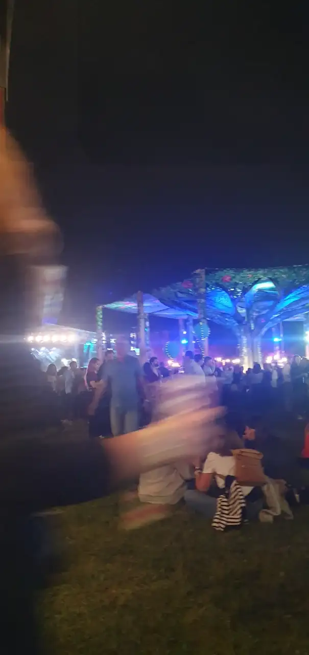 20240920_213606.webp