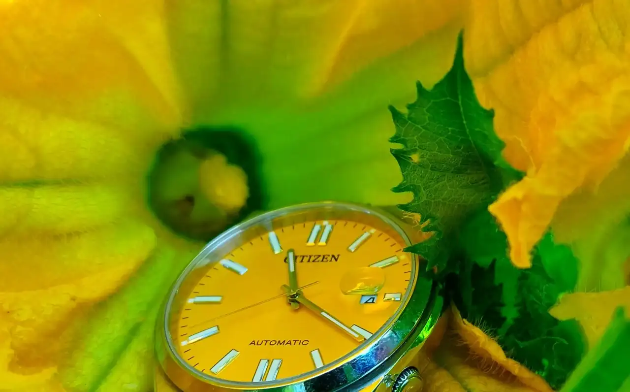 20240923_112041.webp