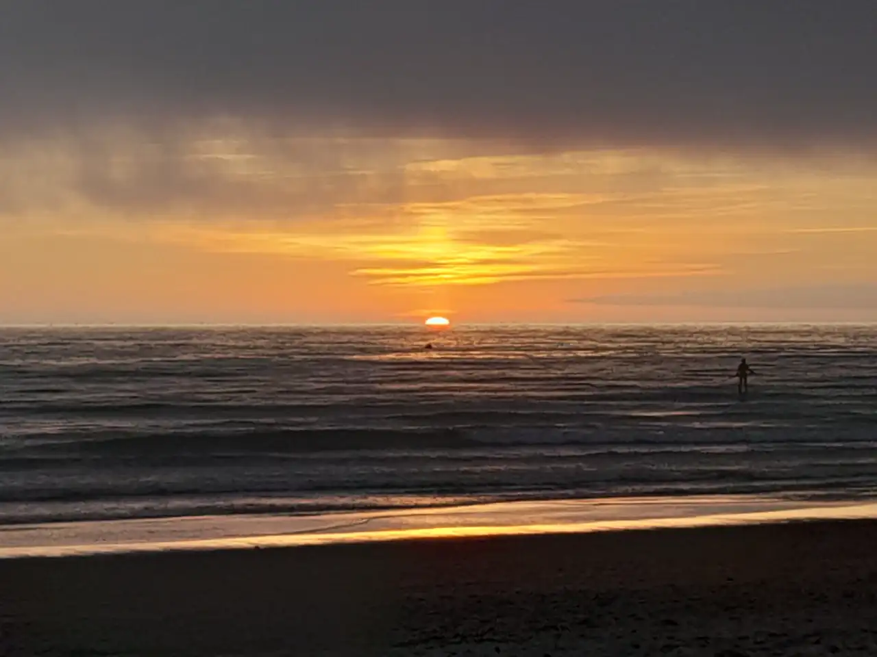 20240925_201555.webp