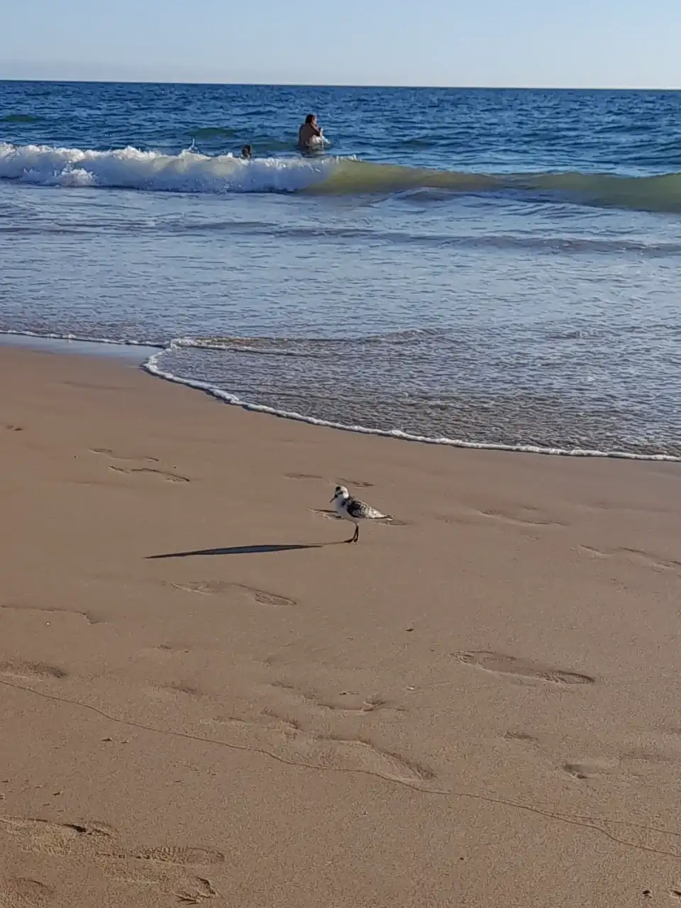 20240926_190843.webp
