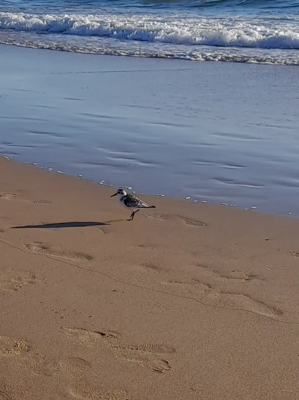 20240926_190850.webp