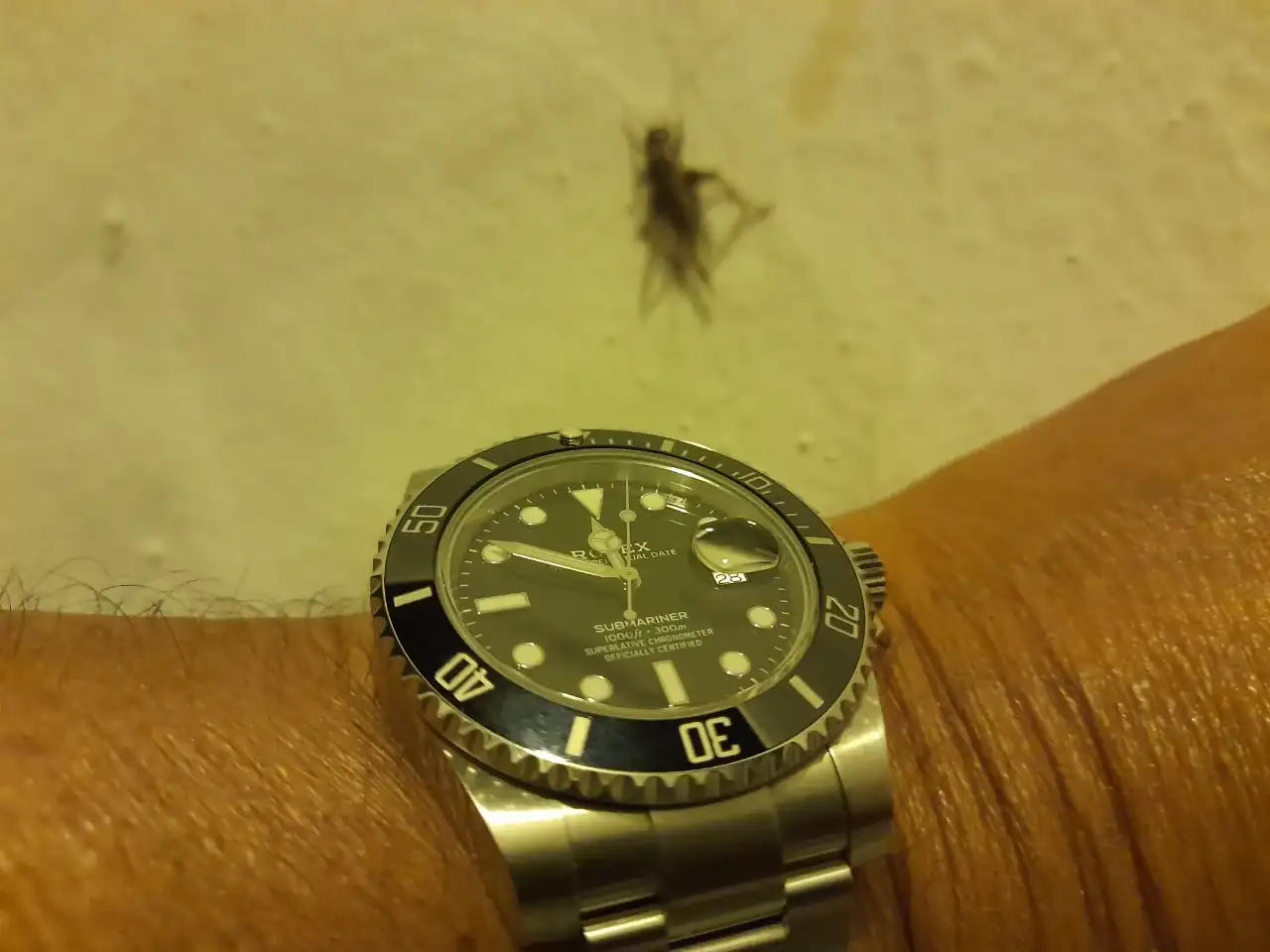 20240928_234905.webp