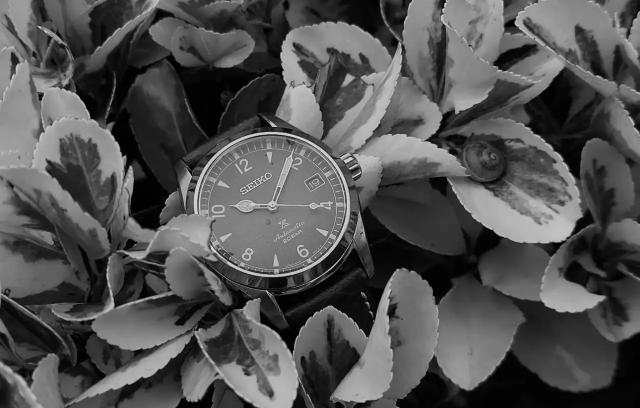 20241002_100857.webp