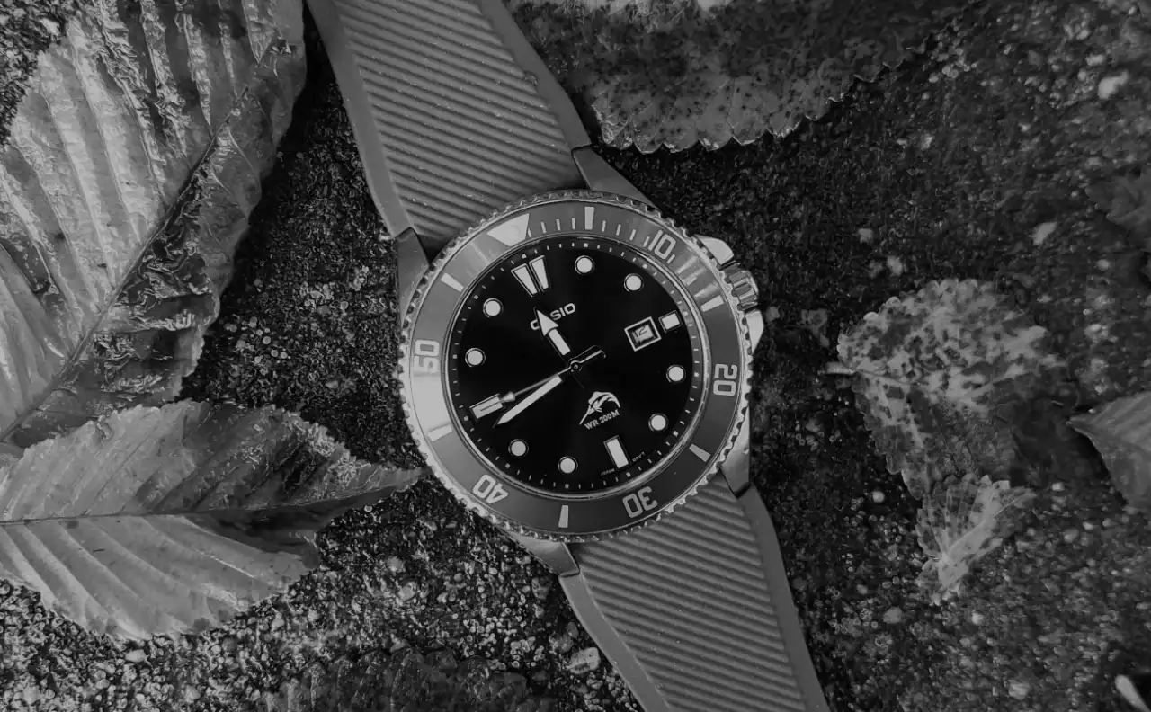 20241002_114252.webp