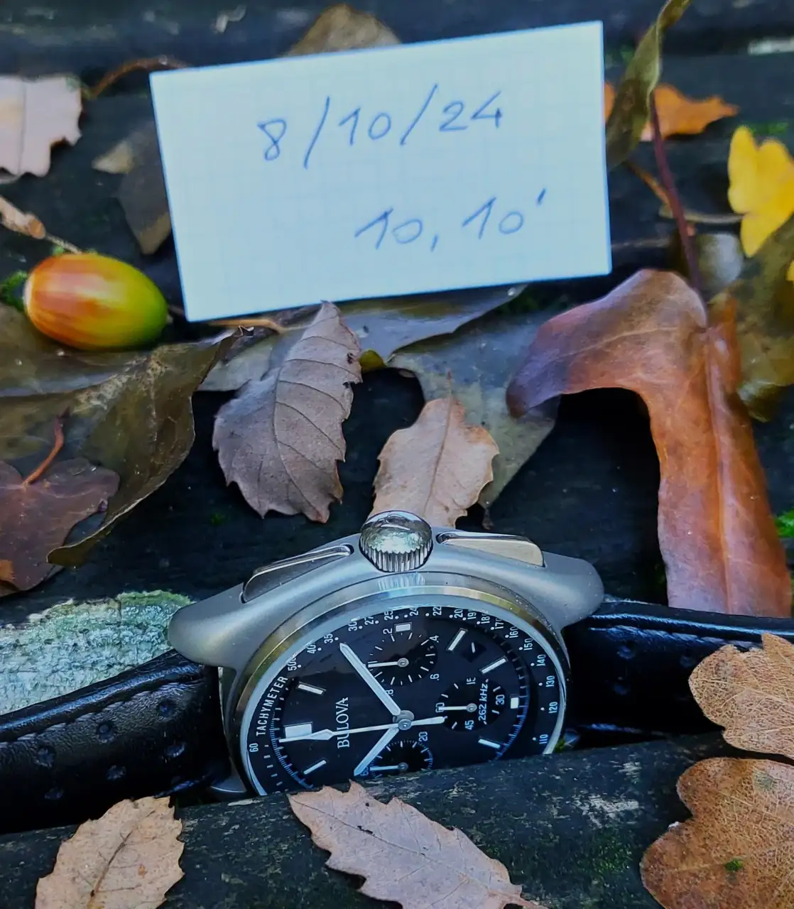 20241008_093901.webp