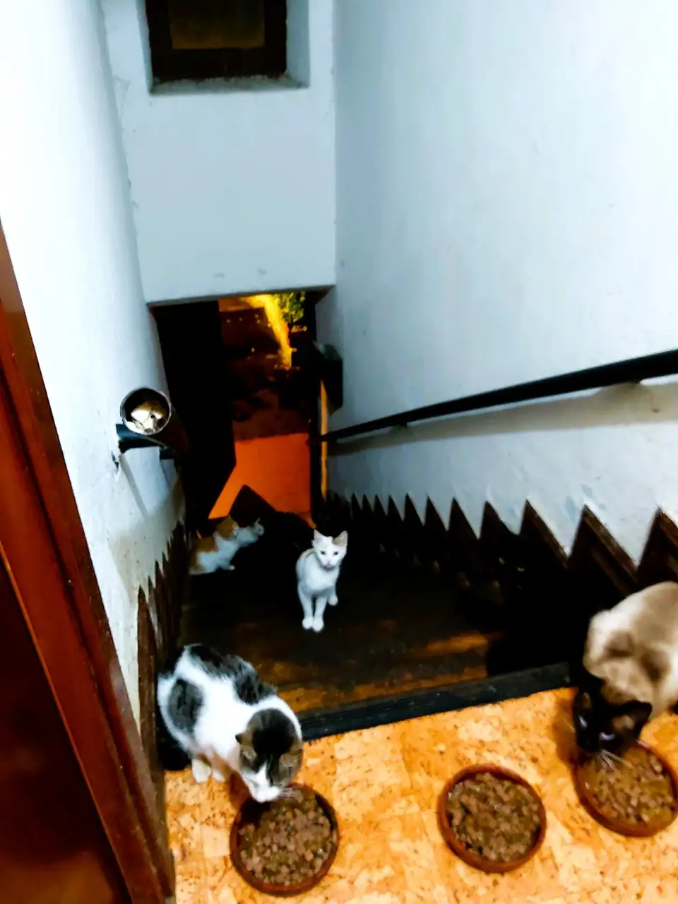 20241009_203154 (1).webp