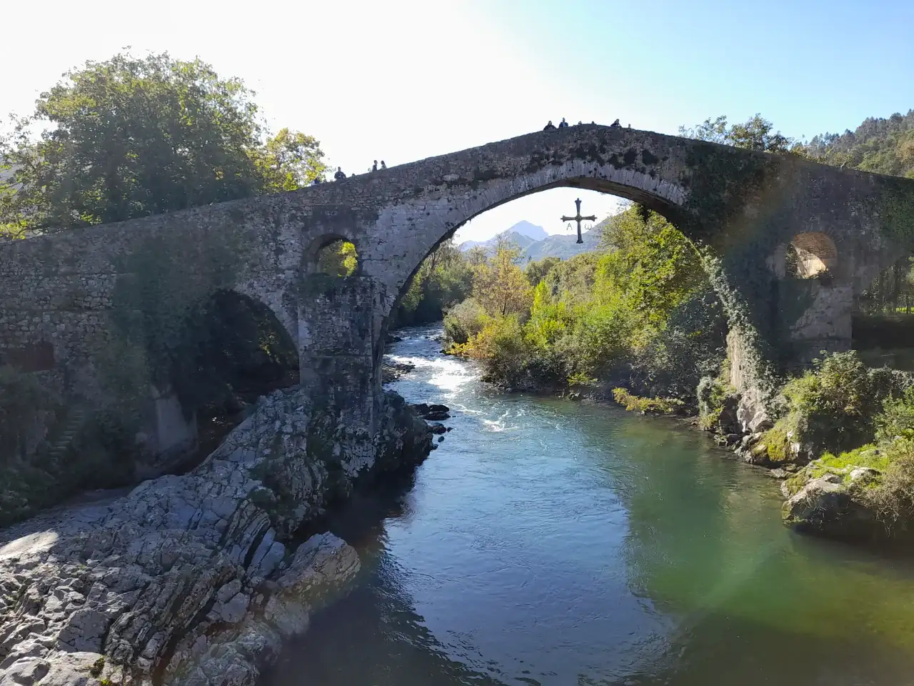 20241026_122718.webp