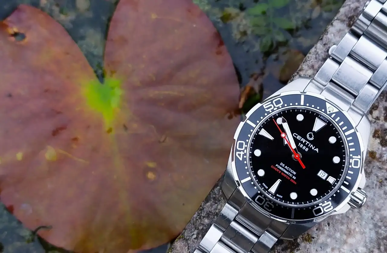 20241120_095041.webp