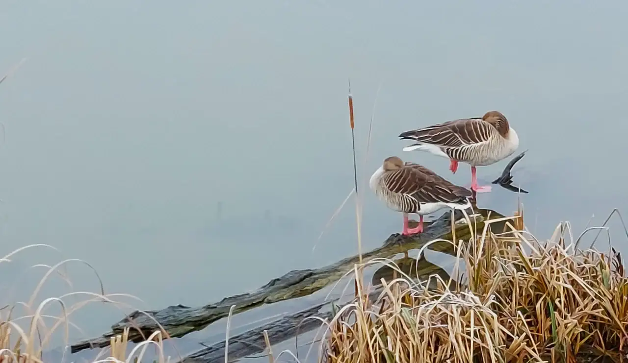 20250101_103711.webp