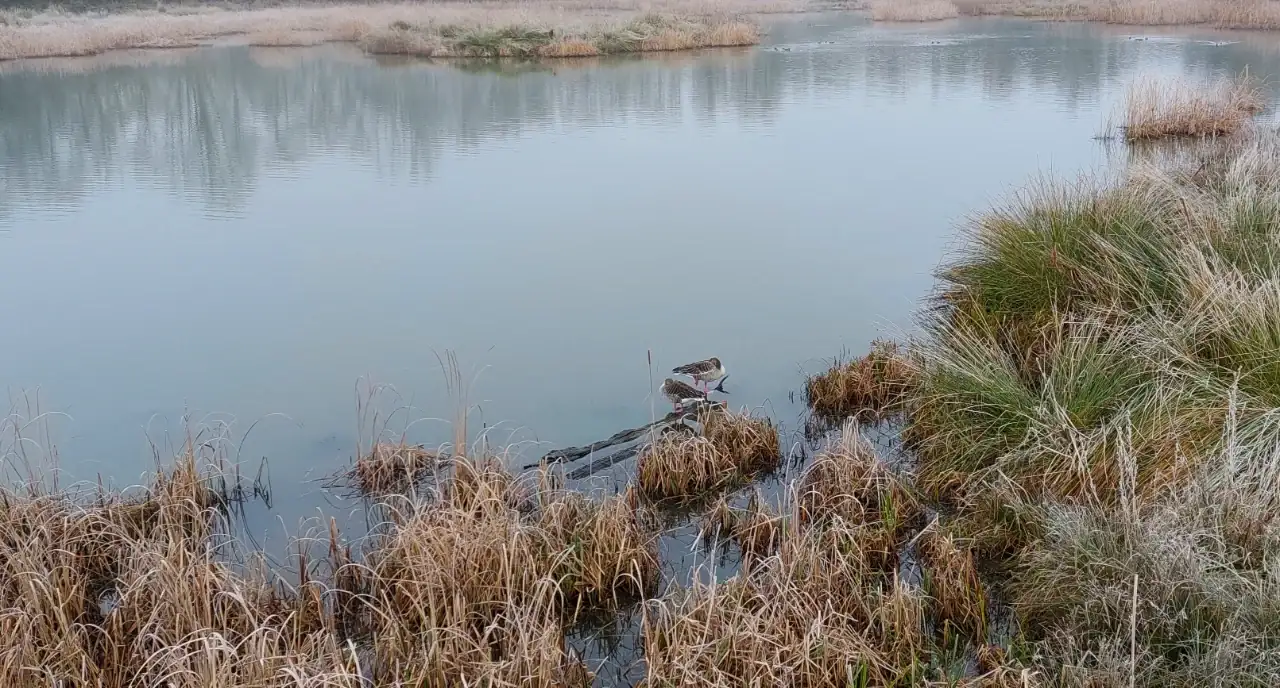 20250101_103851.webp