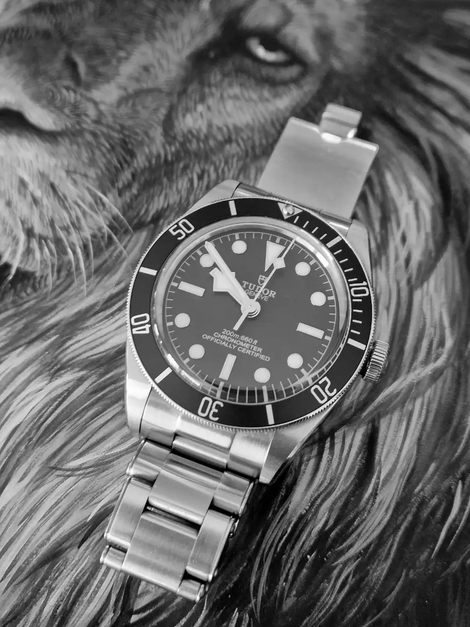 20250115_095118.webp