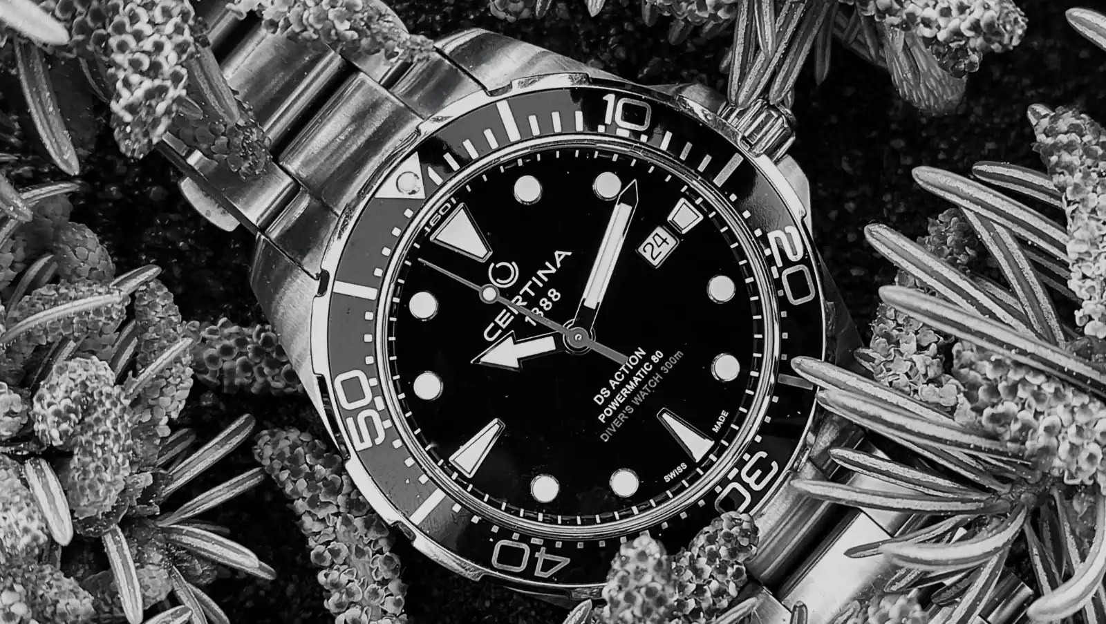 20250417_100251.webp