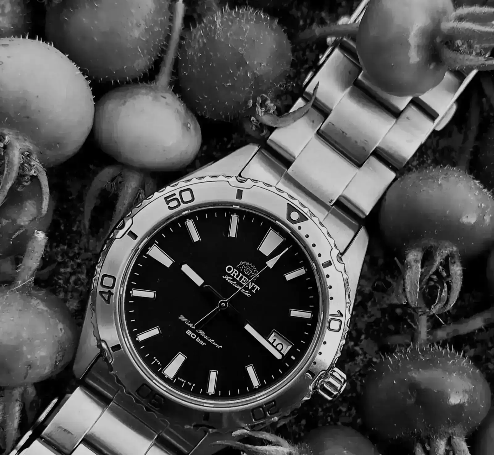 20250630_095518.webp
