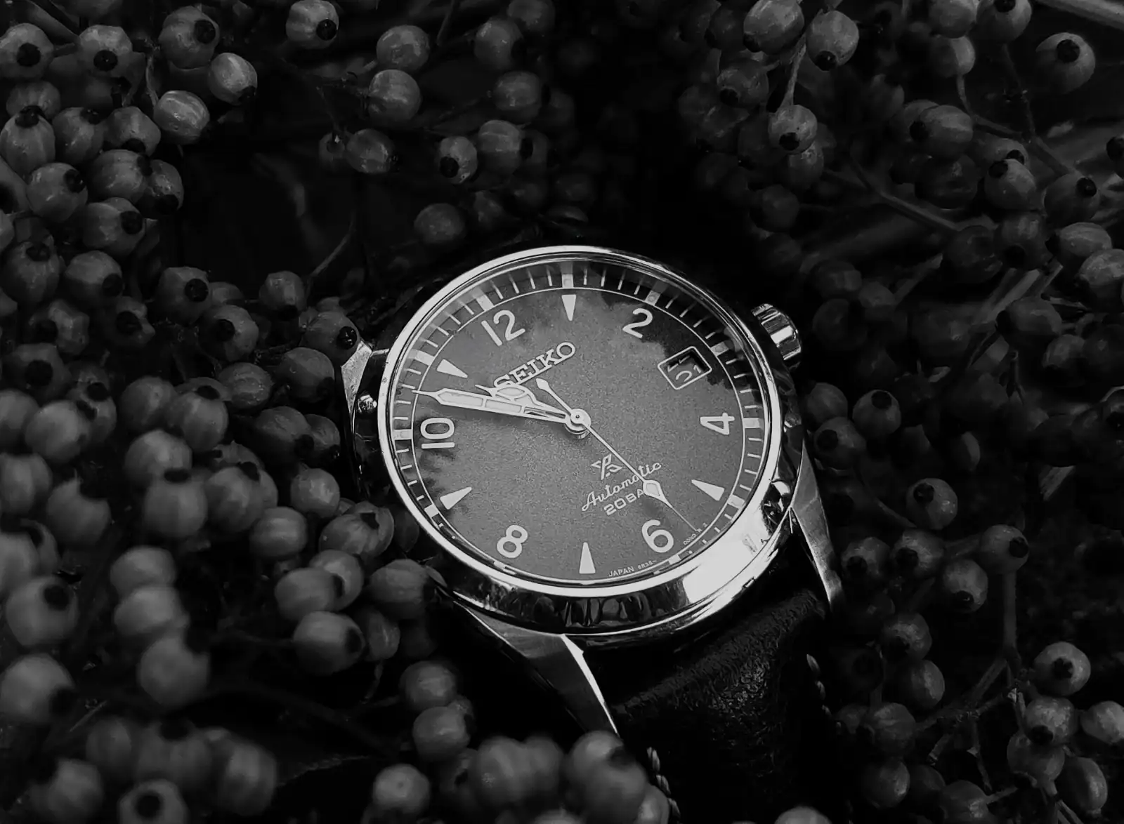 20250807_101104.webp