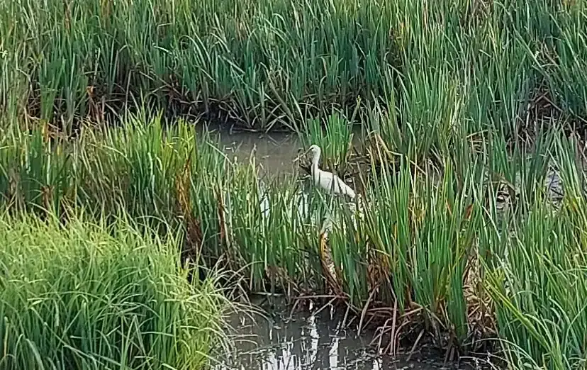 20250815_094753(0).webp