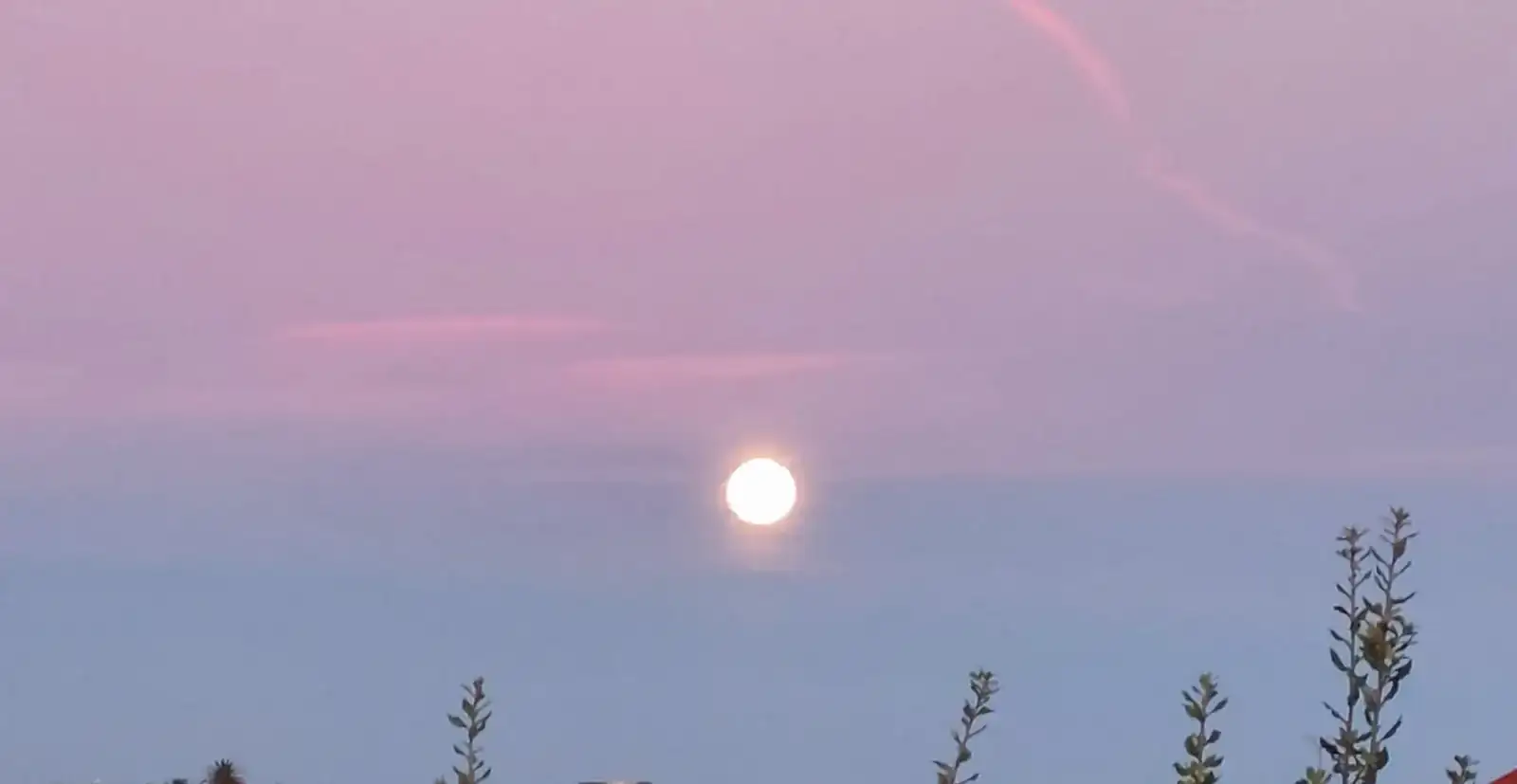 20251007_081059.webp