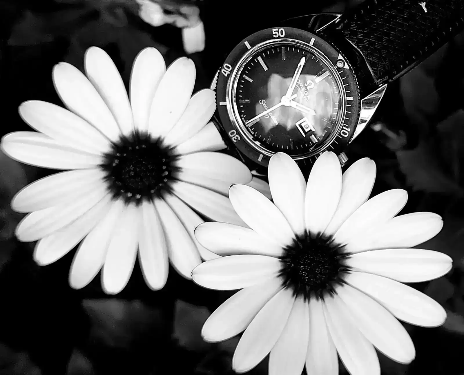 20251009_135845.webp