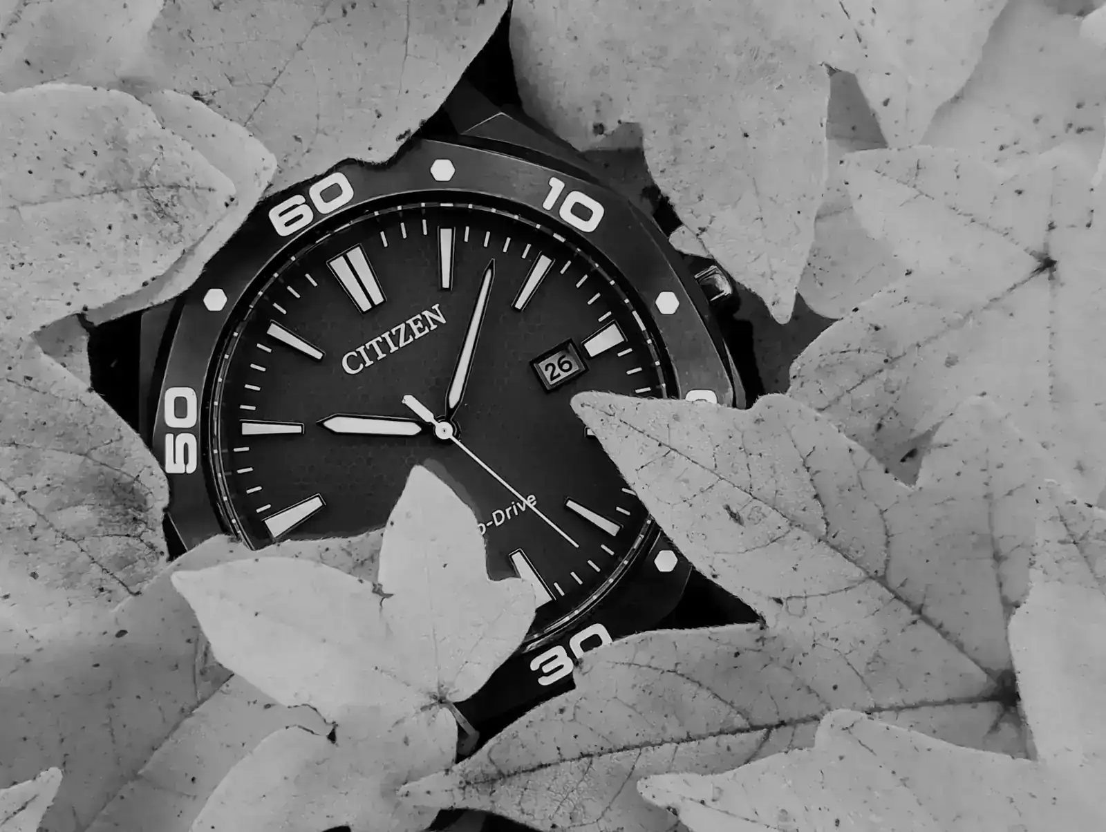 20251018_105339 GF.webp