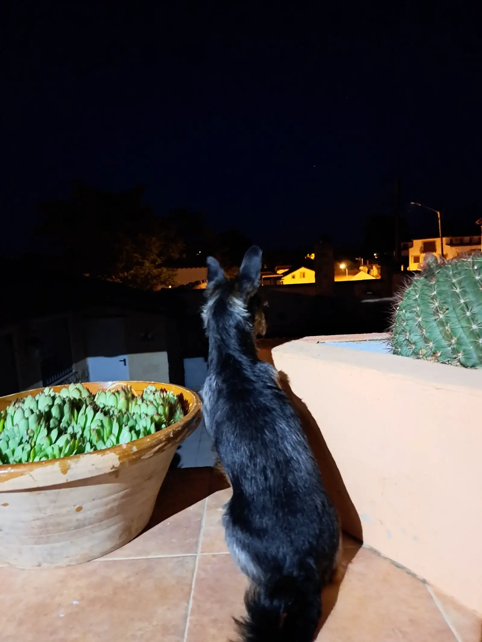20260606_224100.webp