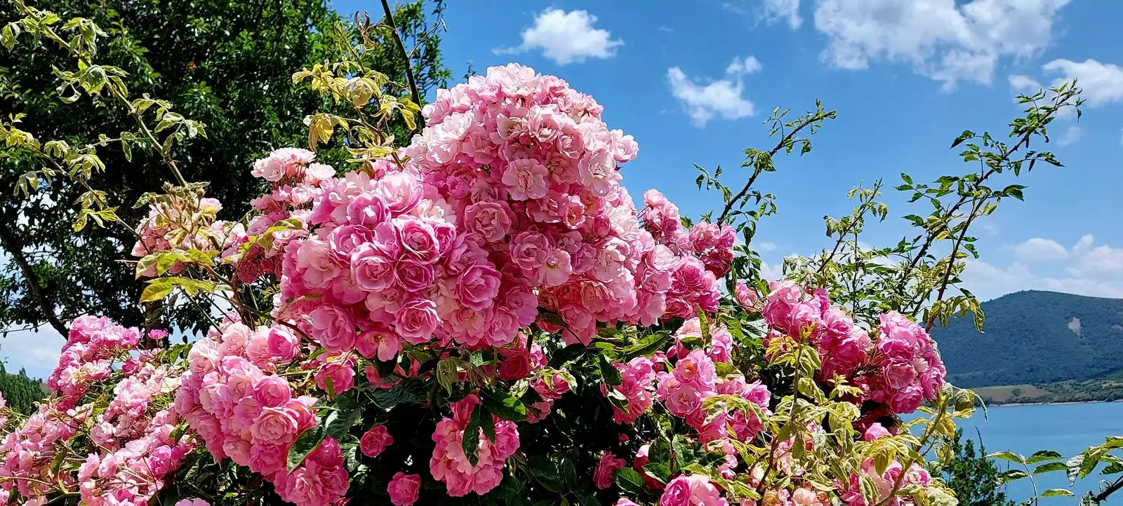 20260619_144801.webp