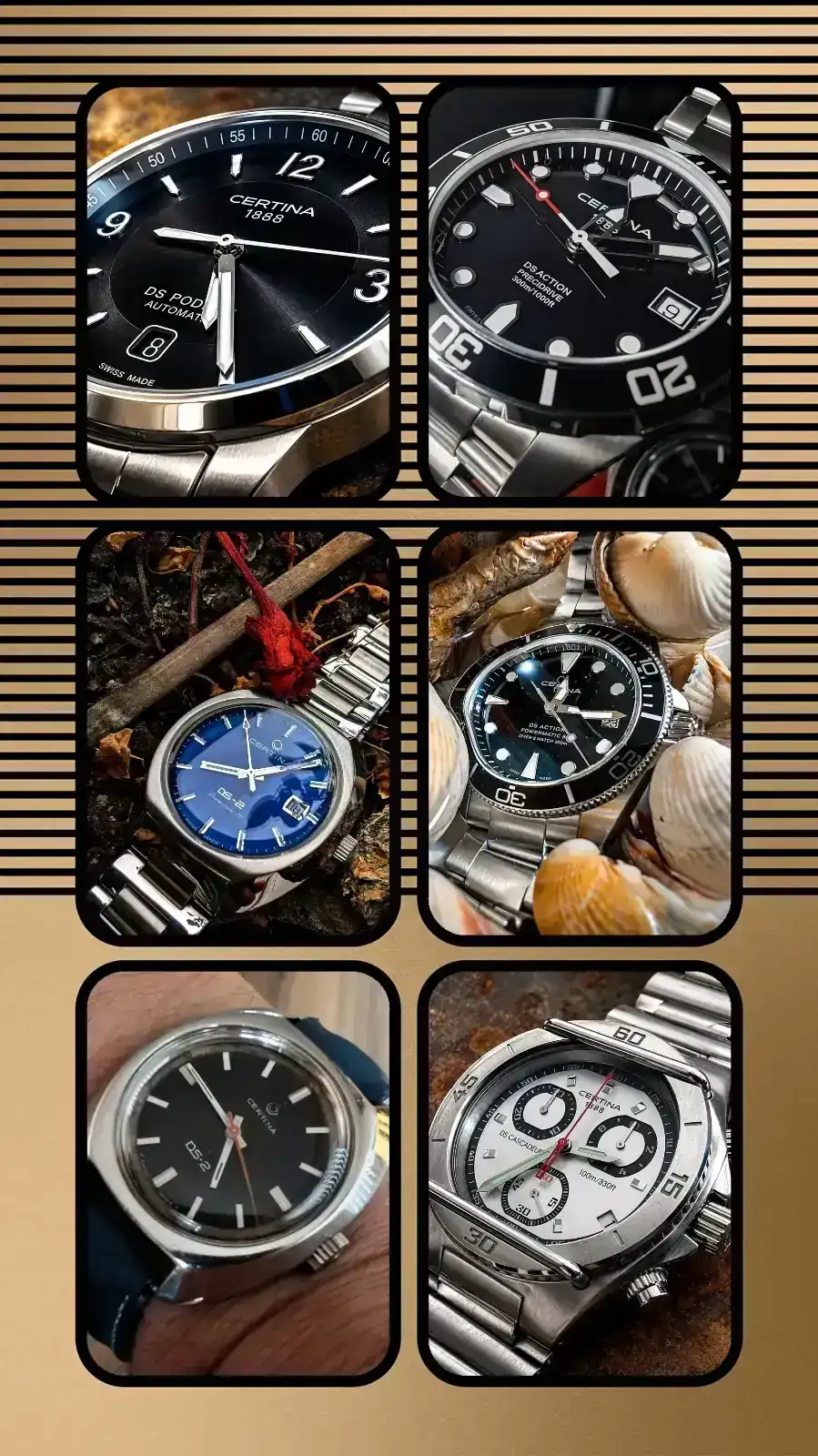 20260701_170245-COLLAGE.webp