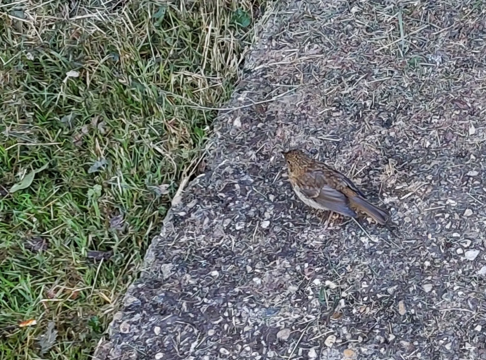 20260707_100819.webp
