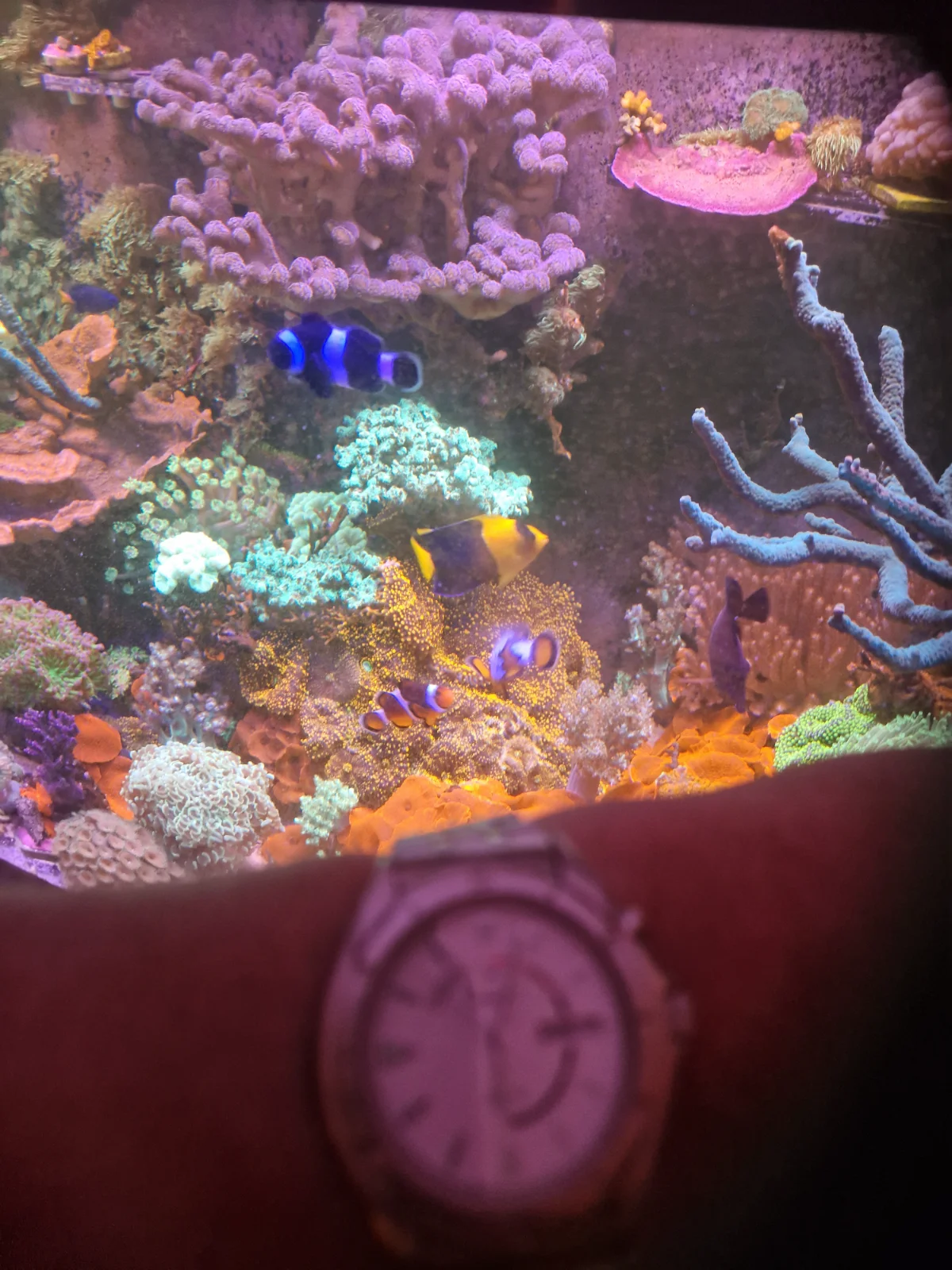 20260907_180352.webp