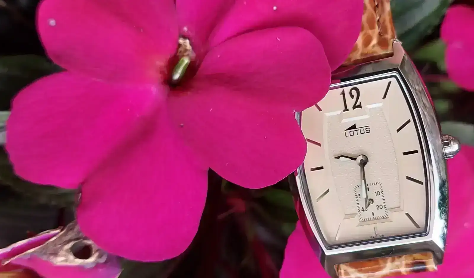 20260915_093237.webp