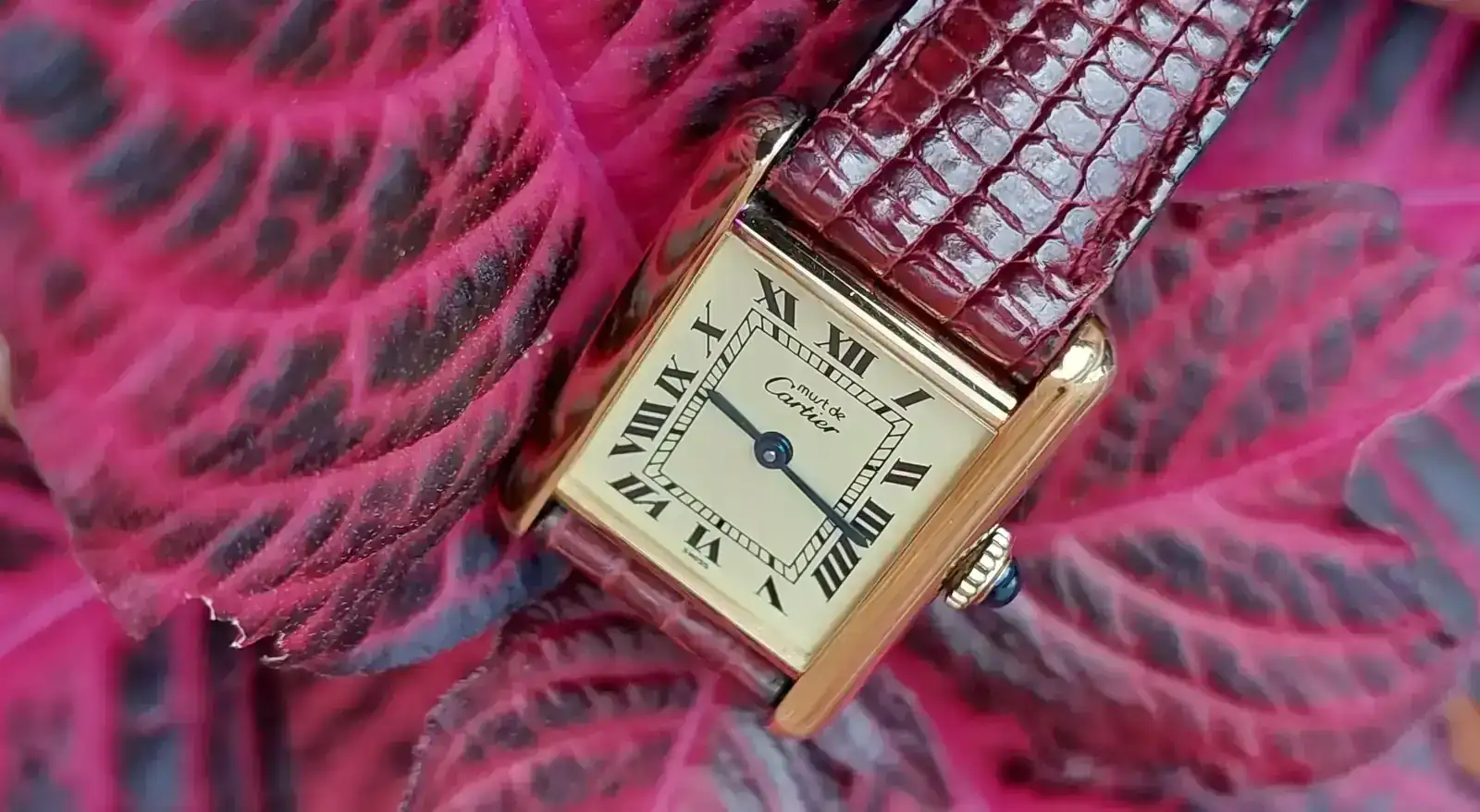 20261001_091531.webp