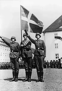 208px-Frikorps_Danmark_2.webp