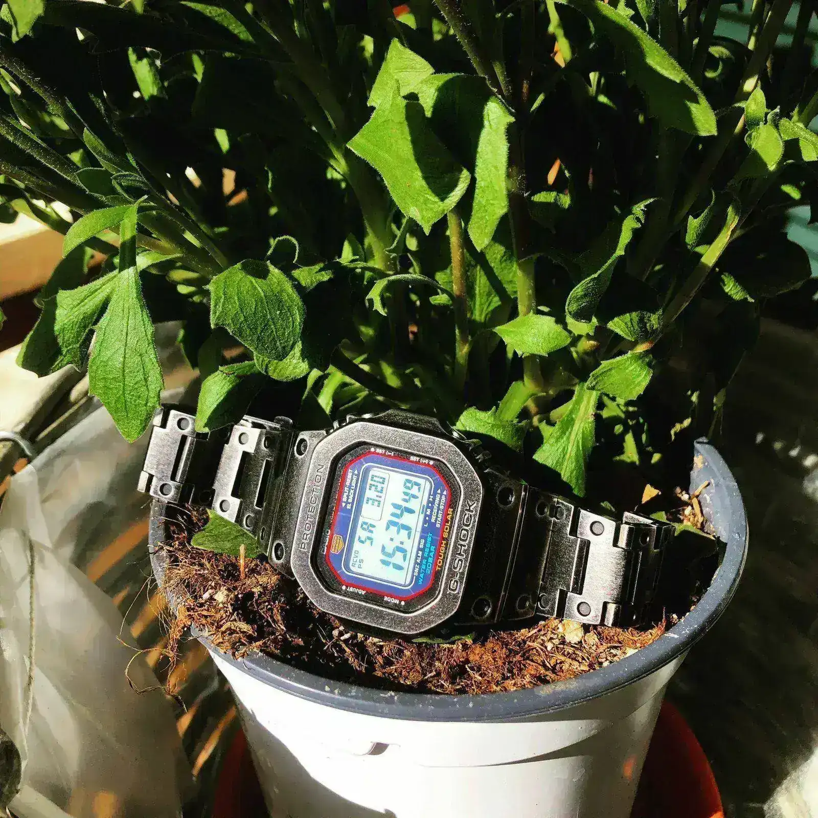 21032060 115 CASIO GW_M5610.webp