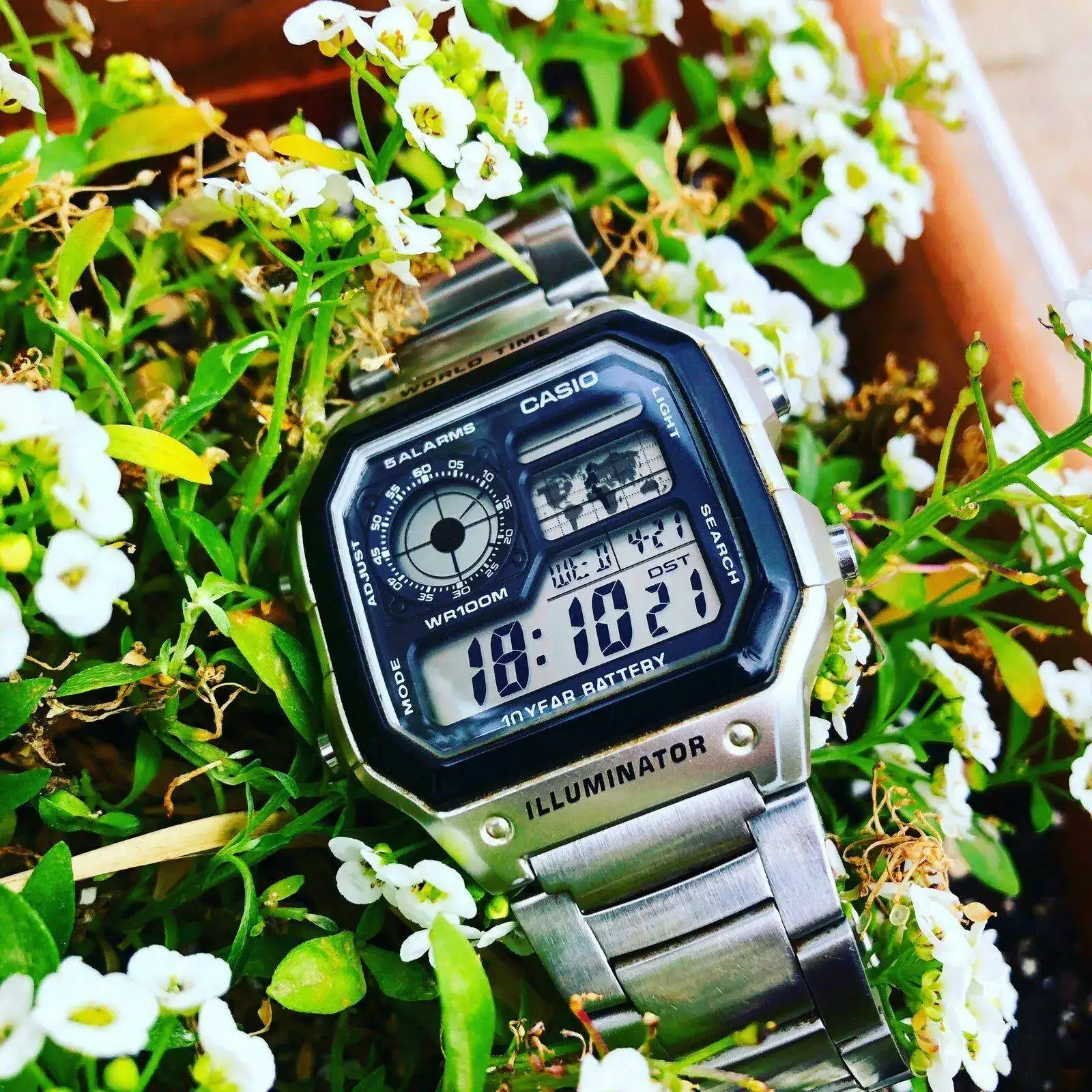 21042270 380 CASIO COLLECTION AE-1200WHD-1AVEF.webp