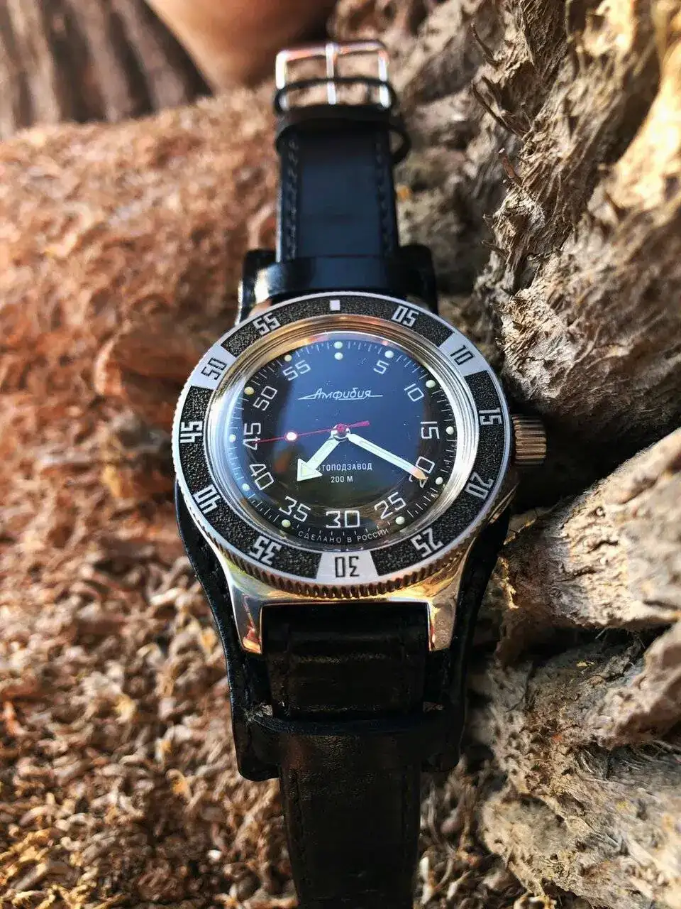 21062970 145 VOSTOK AMPHIBIA100654.jpg