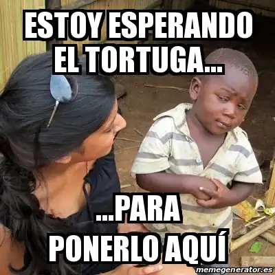 21066081.webp