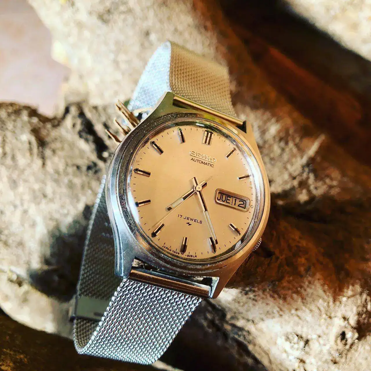 21081270 164 SEIKO 7009 8028 _ 704061.webp