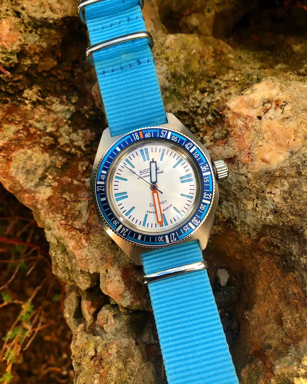 21112870 215 AMPHIBIA SE 650B08 BAIKAL.webp