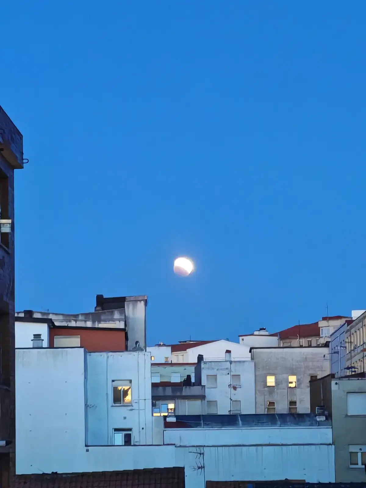 22421.webp