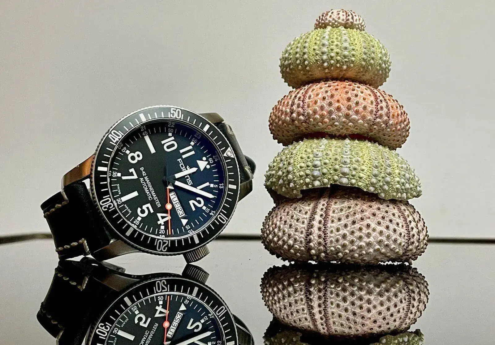 (23) Jero - Fortis.jpeg