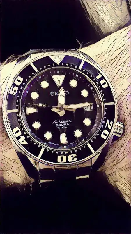 23134880_1606791012676763_1638417902_o.webp